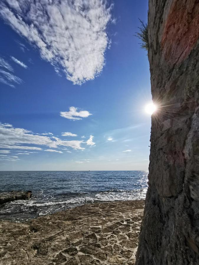 Lora Deluxe Superior 5 Star Apartment, Your Piece Of Heaven By The Sea & Park With Sea & Park View Novigrad Istria Exteriör bild