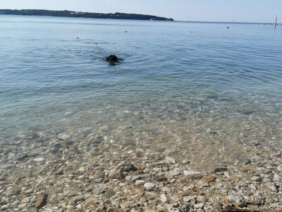 Lora Deluxe Superior 5 Star Apartment, Your Piece Of Heaven By The Sea & Park With Sea & Park View Novigrad Istria Exteriör bild