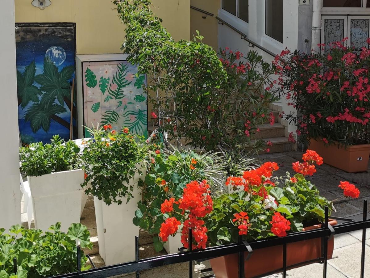Lora Deluxe Superior 5 Star Apartment, Your Piece Of Heaven By The Sea & Park With Sea & Park View Novigrad Istria Exteriör bild