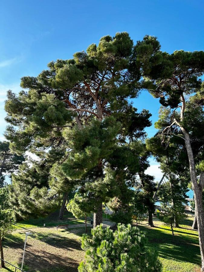 Lora Deluxe Superior 5 Star Apartment, Your Piece Of Heaven By The Sea & Park With Sea & Park View Novigrad Istria Exteriör bild